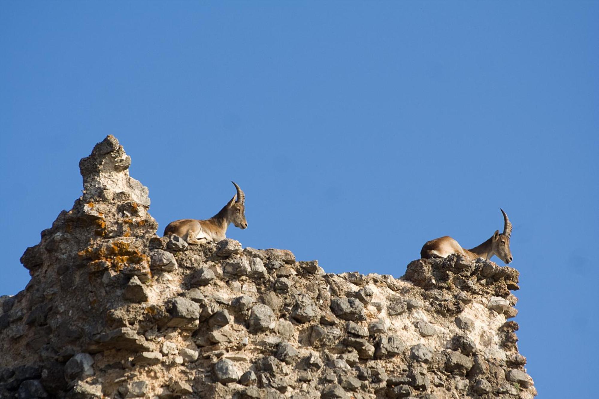 Los Huertos De Segura Segura de la Sierra Exteriör bild