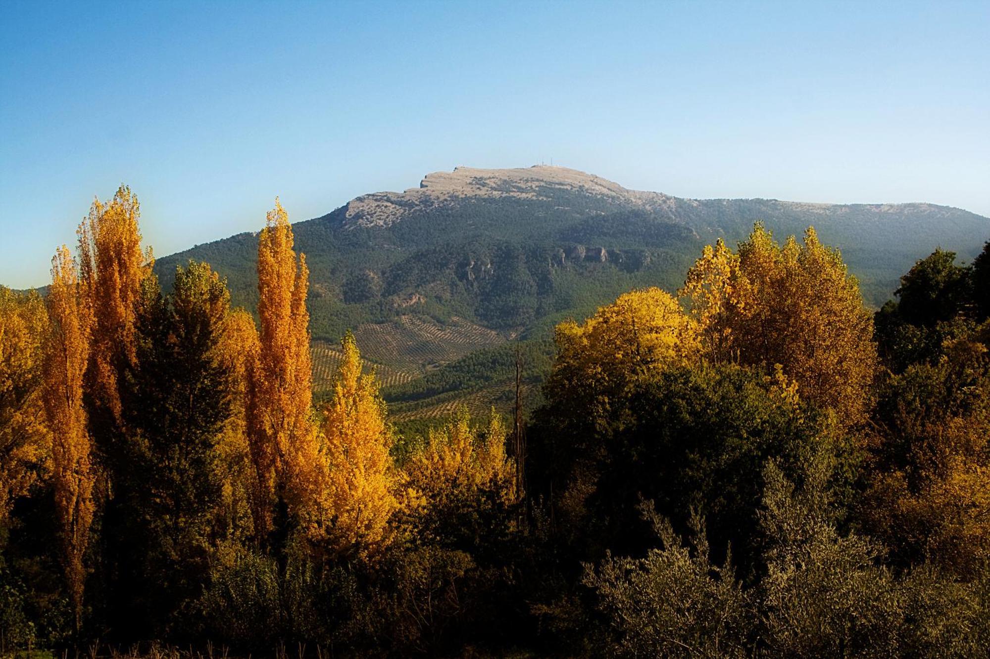 Los Huertos De Segura Segura de la Sierra Exteriör bild